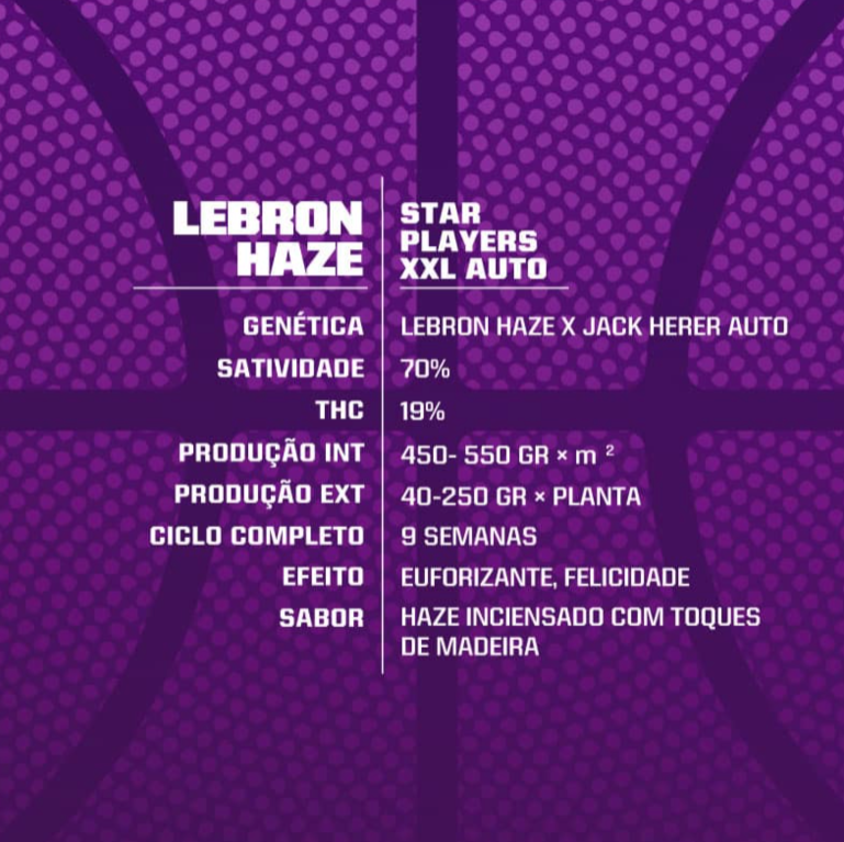 BSF LEBRON HAZE AUTO 2UN