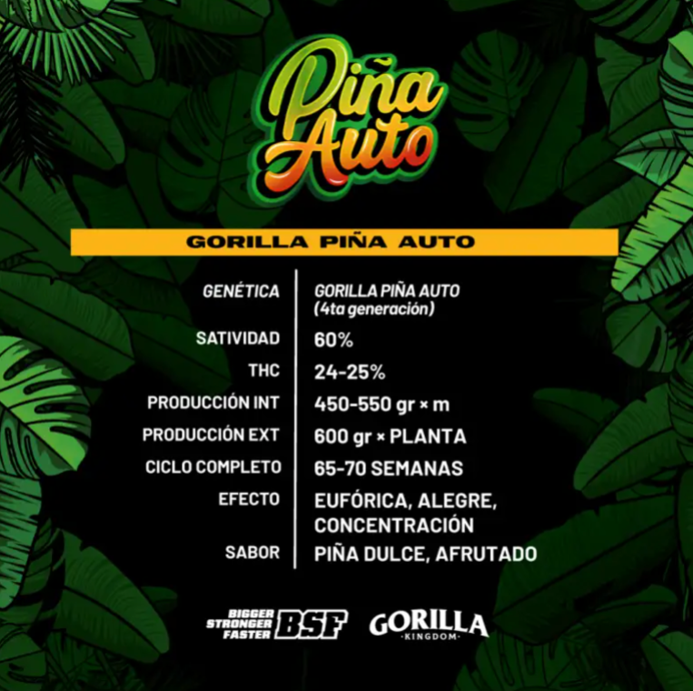 BSF GORILLA PIÑA AUTO 4 UNID