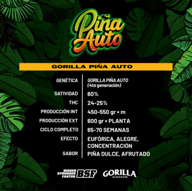 BSF GORILLA PIÑA AUTO 12 UNID