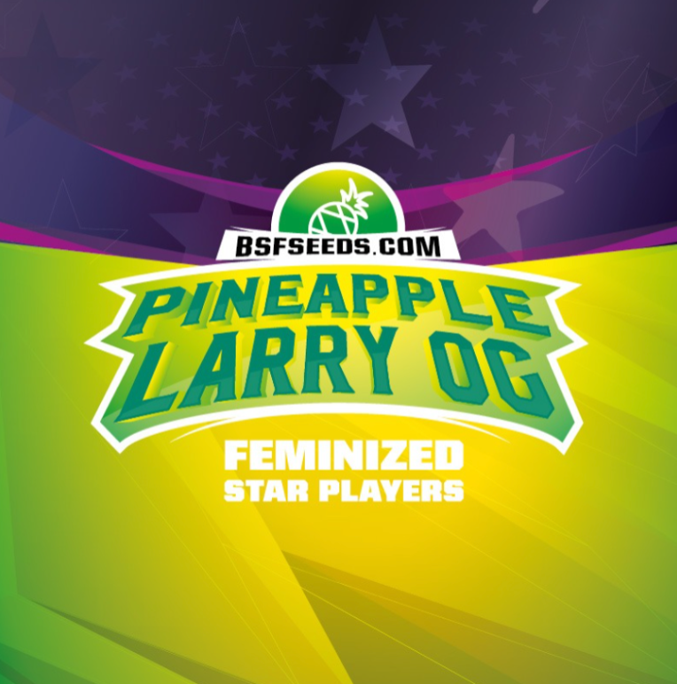 Star Player Pineapple Larry - Bsf Seeds 4 unid