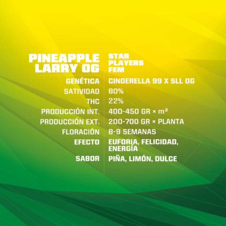 Star Player Pineapple Larry - Bsf Seeds 4 unid