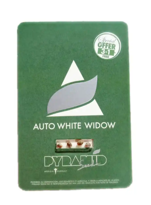 PYRAMID SEEDS AUTO WHITE WIDOW 3+1 UNID