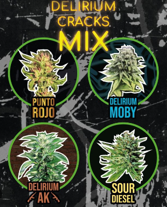 DELIRIUM SEEDS MIX DELIRIUM CRACK FAST VERSION X8 UNID