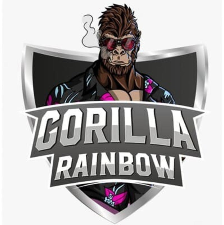 Bsf seeds Gorilla Rainbows X4