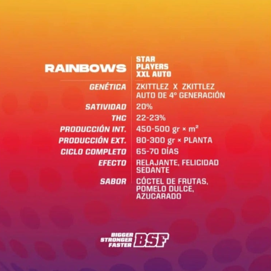BSF SEEDS RAINBOWS XXL AUTO X4