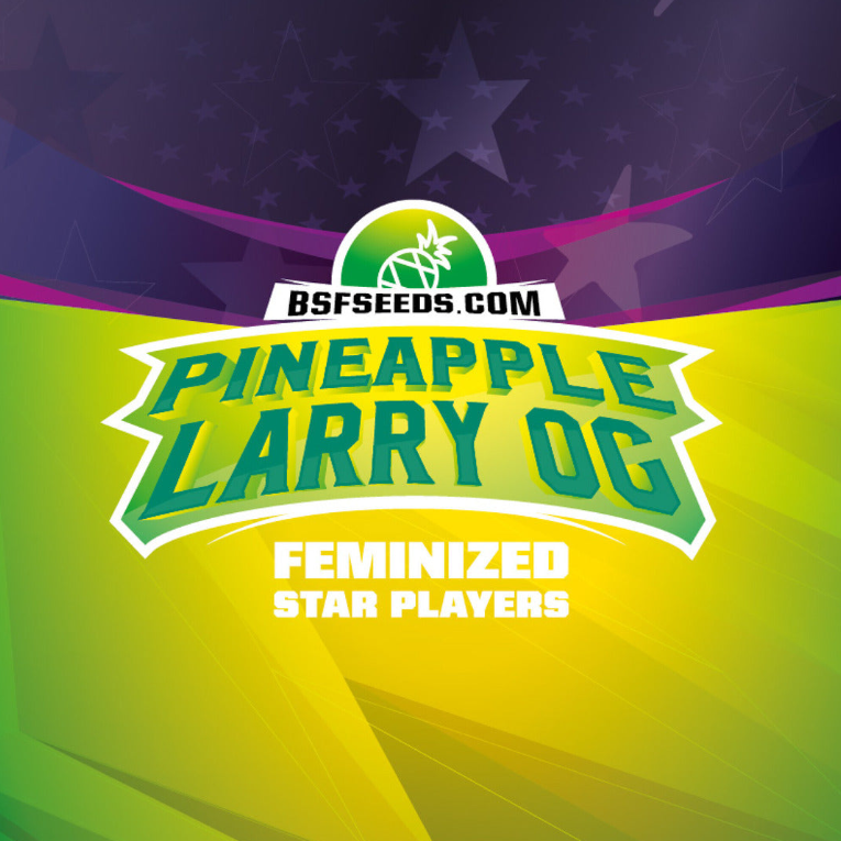 BSF PINEAPPLE LARRY OG XXL AUTO X4