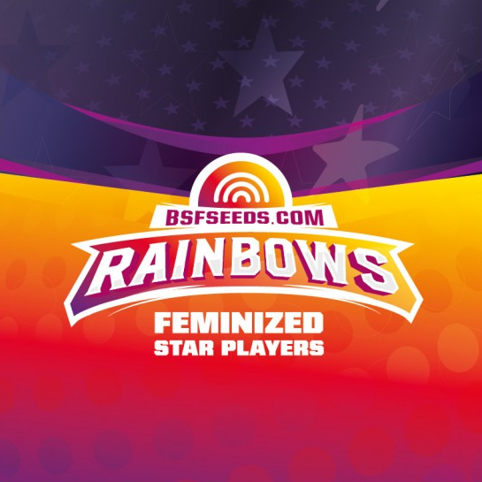 BSF SEEDS FEM RAINBOWM X12