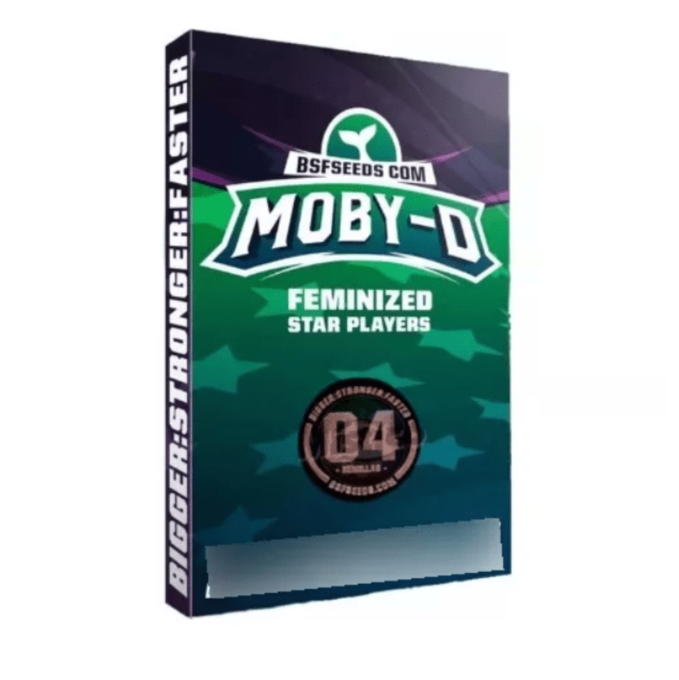 BSF SEEDS FEM MOBY DICK 4 UNID