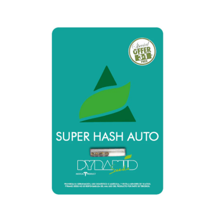 PYRAMID SEEDS AUTO SUPER HASH 3+1