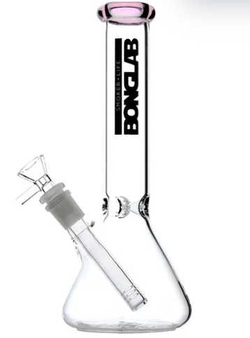 BONGLAB LITTLE BUCHNER PINK