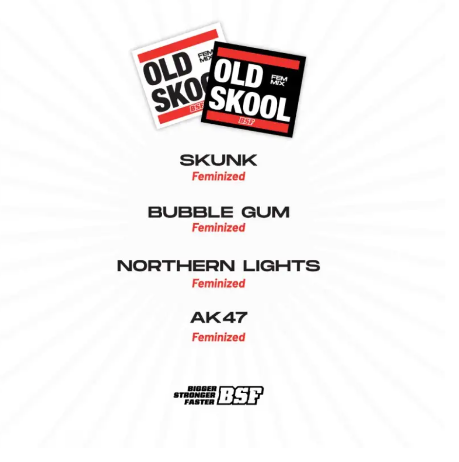 BSF OLD Skool Feminized Mix - X16 UNID