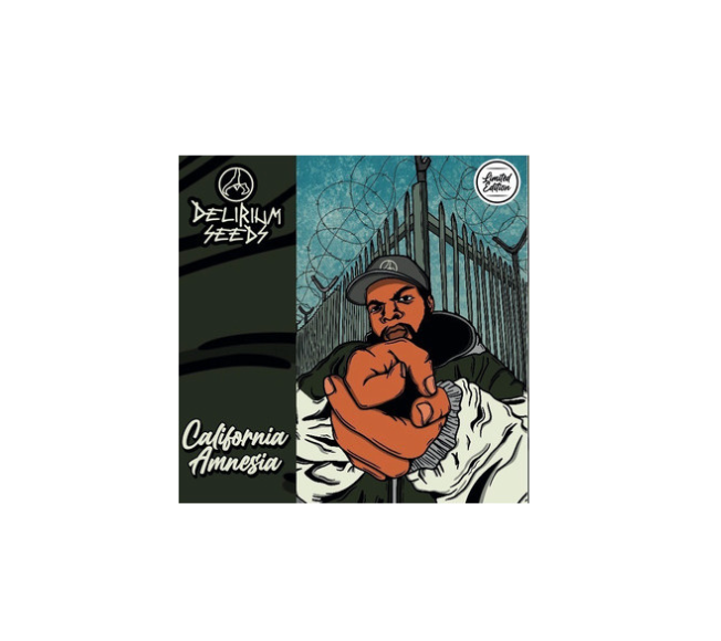 DELIRIUM SEEDS CALIFORNIA AMNESIA AUTO X1UN