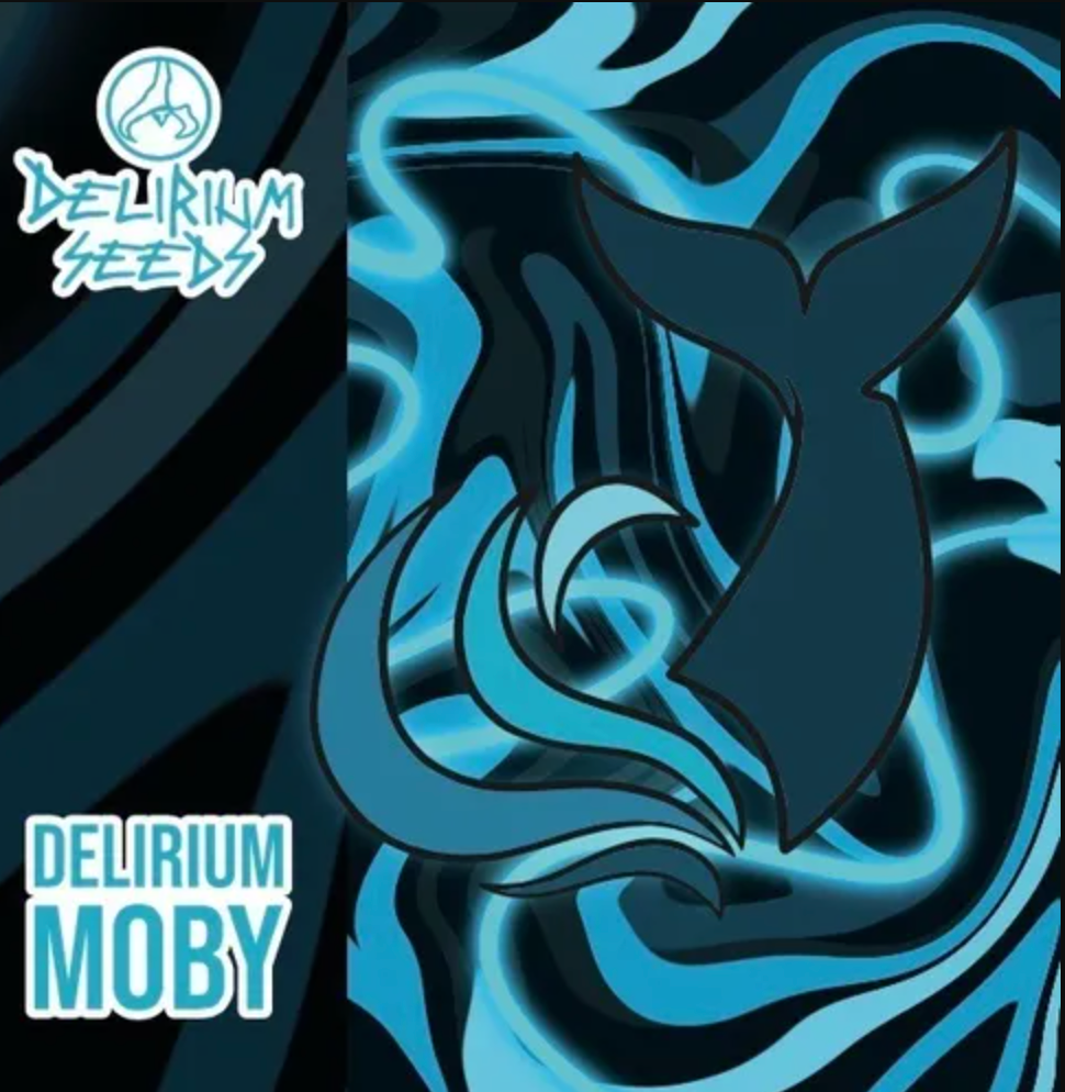 DELIRIUM SEEDS AUTO DLR MOBY XL X1