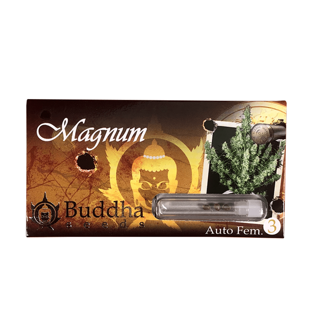 BUDDHA SEEDS MAGNUM