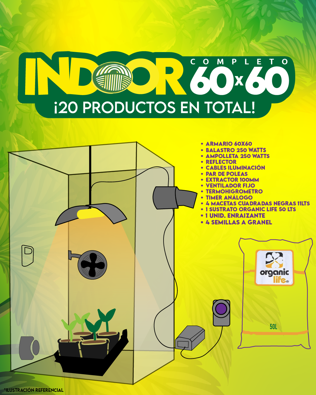 INDOOR 60X60 COMPLETO