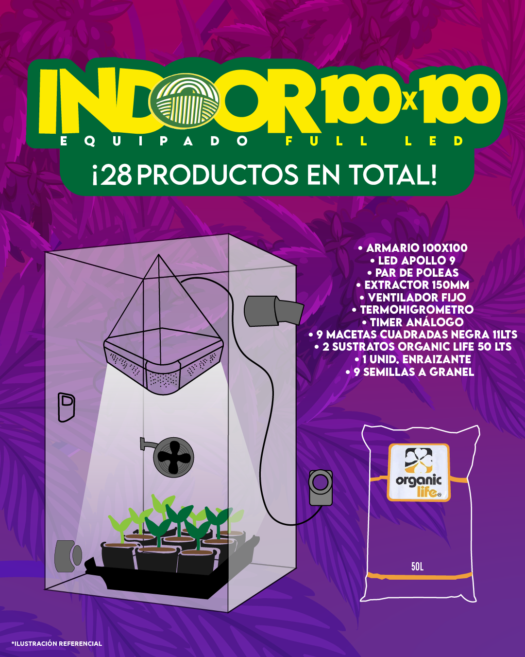 INDOOR 100X100 COMPLETO FULL LED