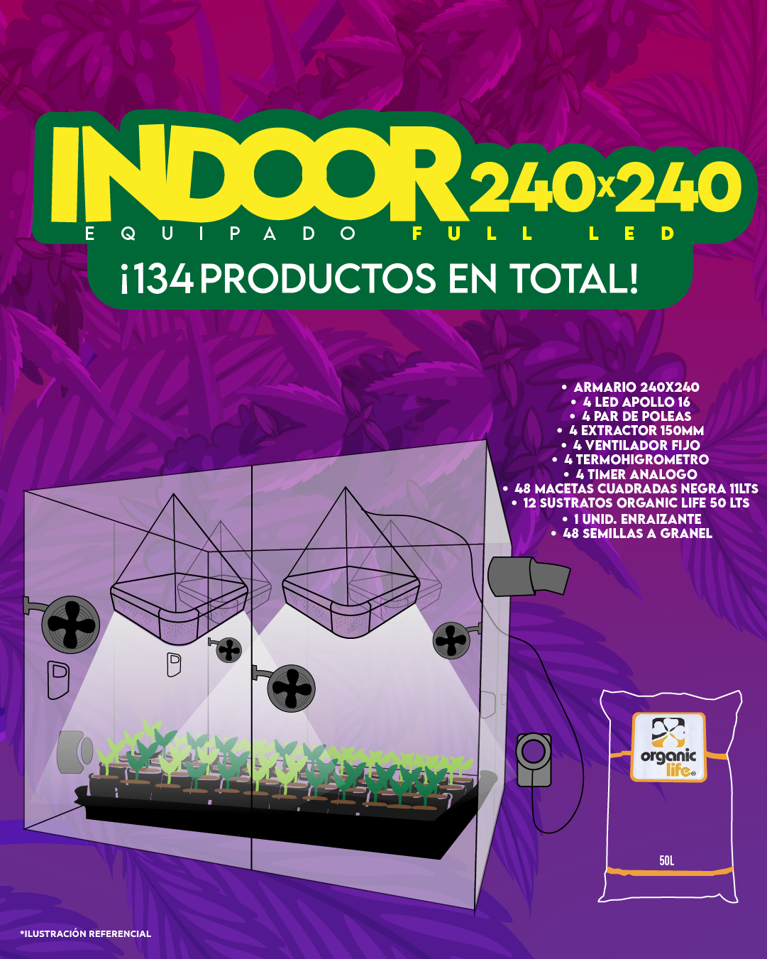 INDOOR 240X240 COMPLETO FULL LED