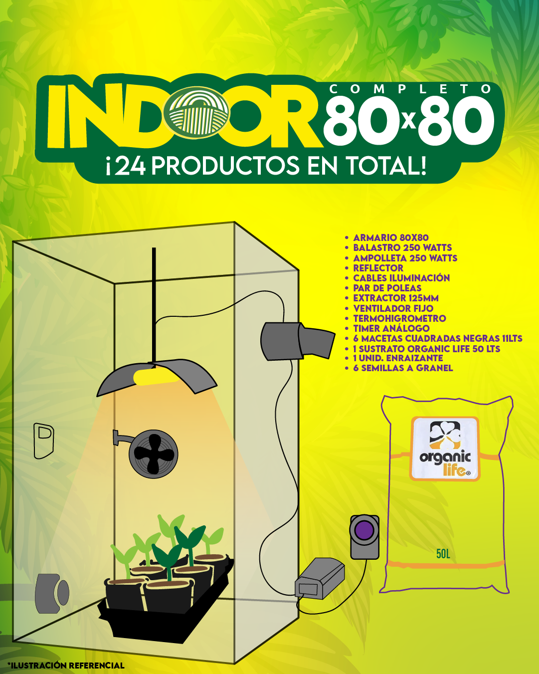 INDOOR 80X80 COMPLETO