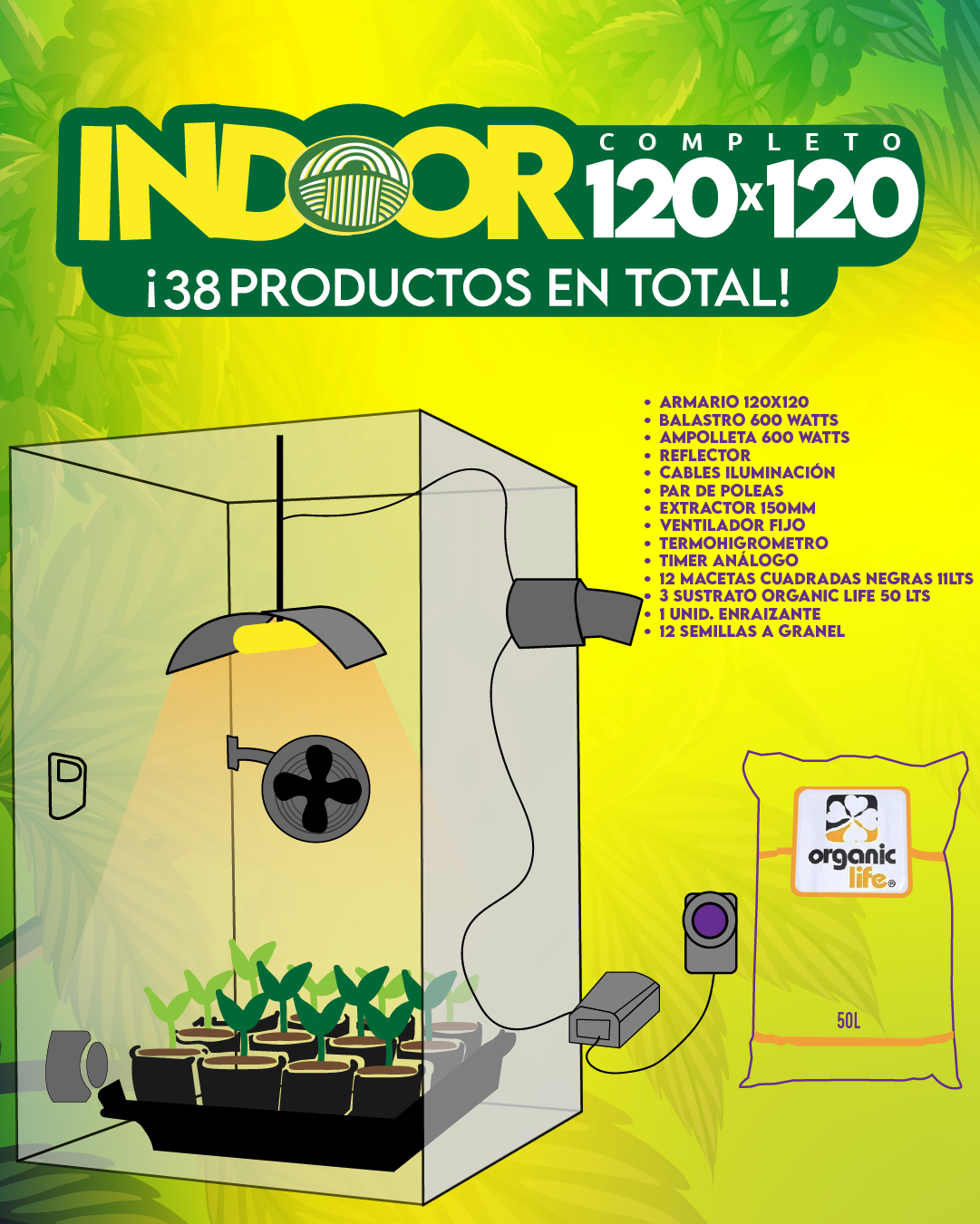 INDOOR 120X120 COMPLETO