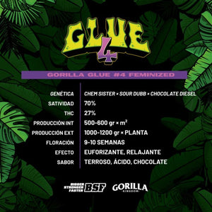 Gorilla #4 FEM- Pack 50 semillas - BSF
