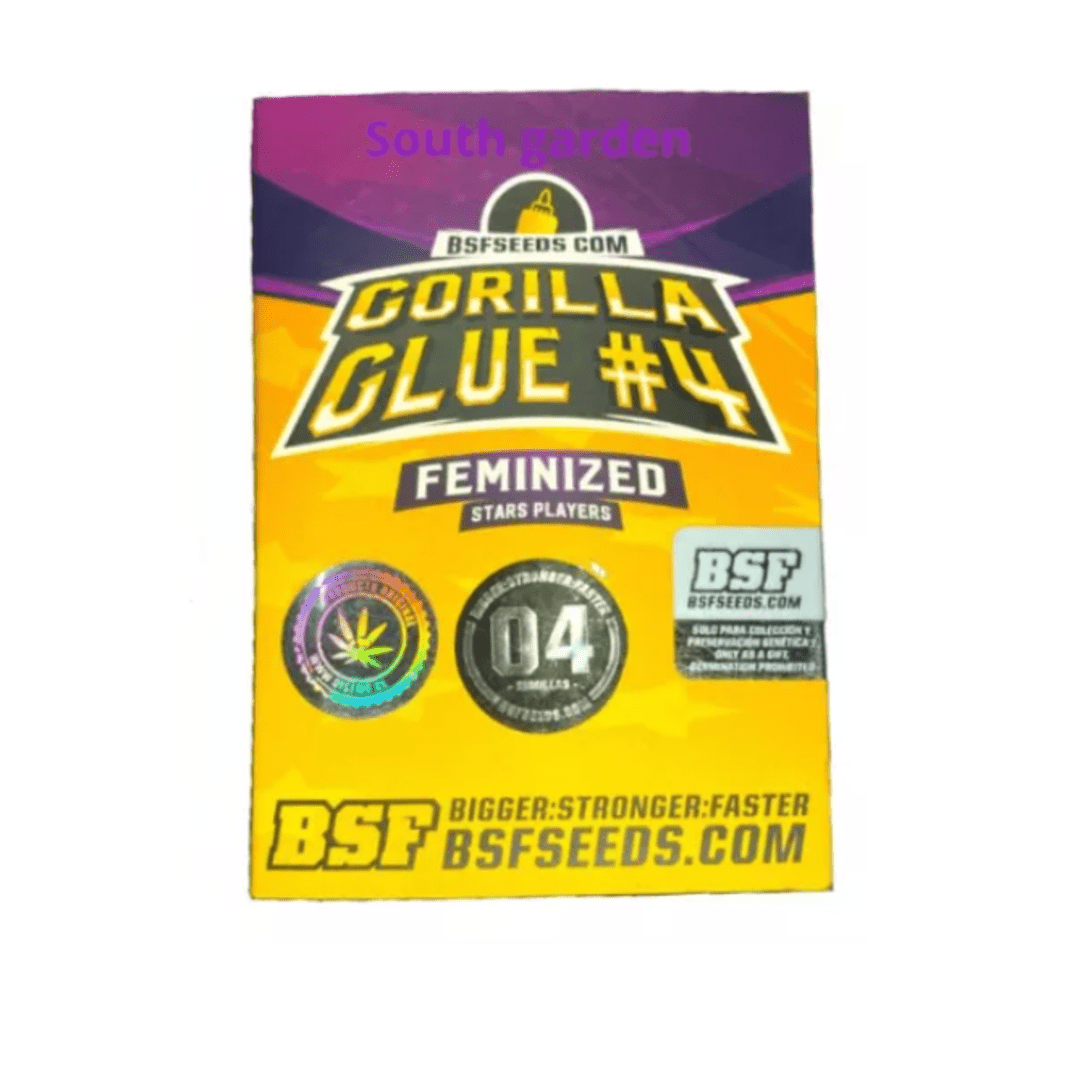 BSF SEEDS FEM GORILLA GLUE #4