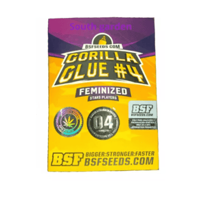 BSF SEEDS FEM GORILLA GLUE #4
