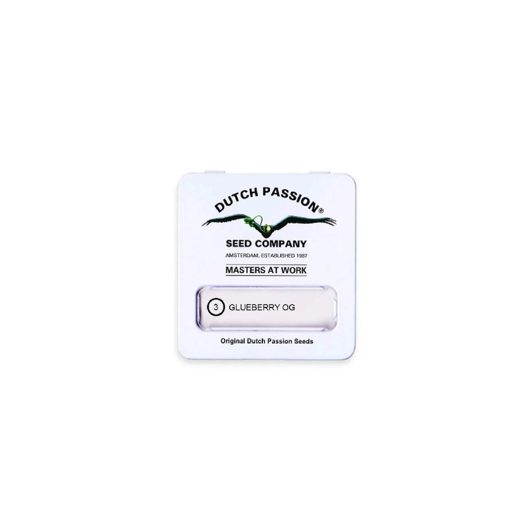 DUTCH PASSION FEM GLUEBERRY OG
