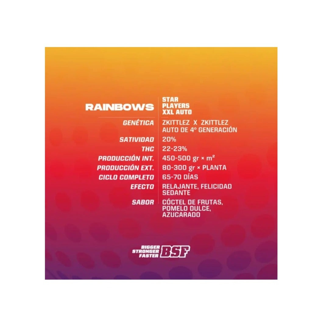 BSF SEEDS RAINBOWS XXL AUTO X2