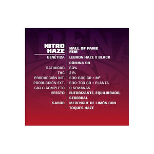 BSF SEEDS - NITRO HAZE FEM 2 UNID