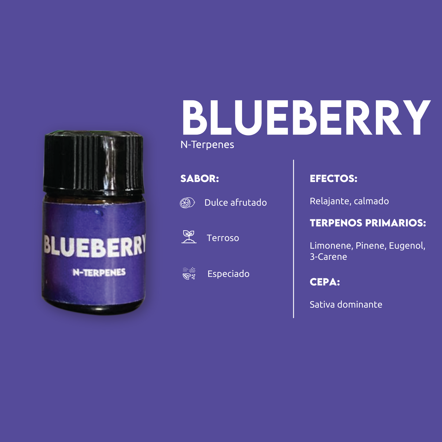 TERPENOS 1ML