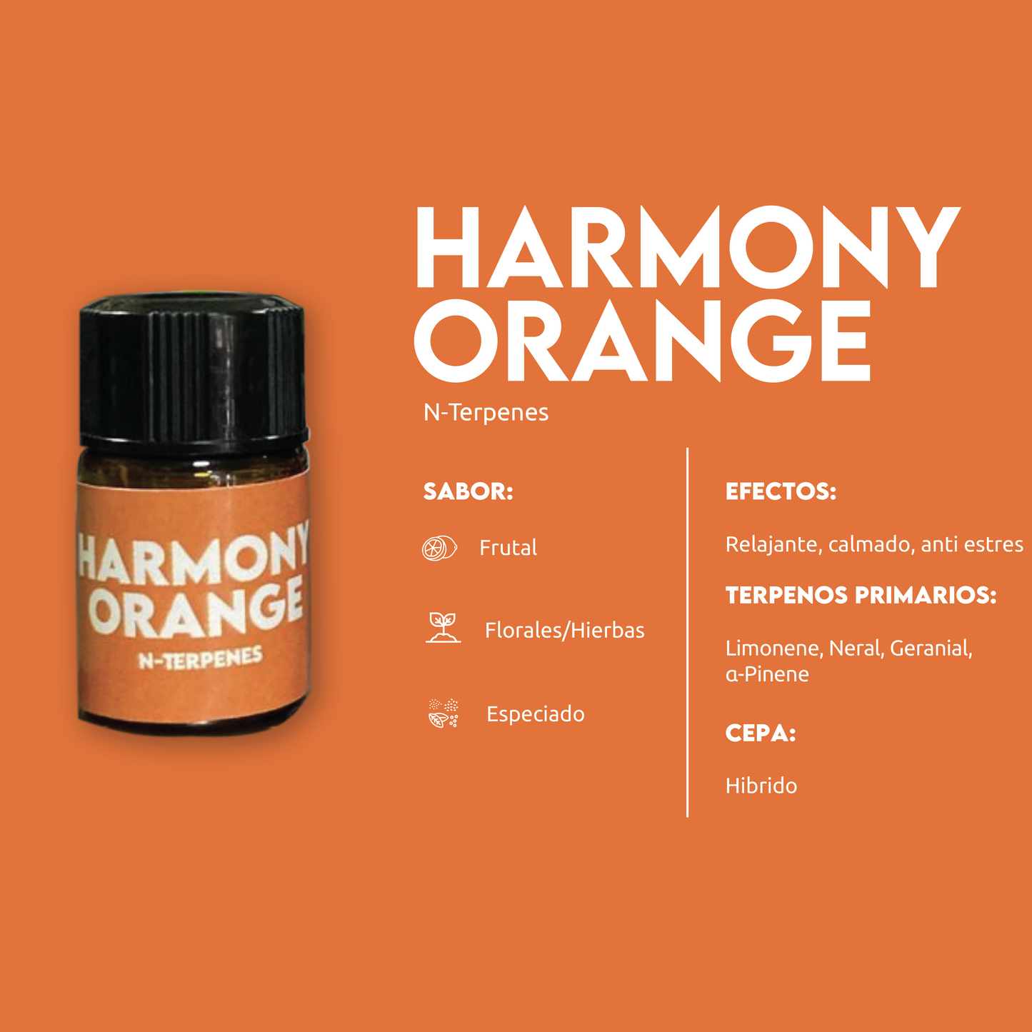 TERPENOS 1ML