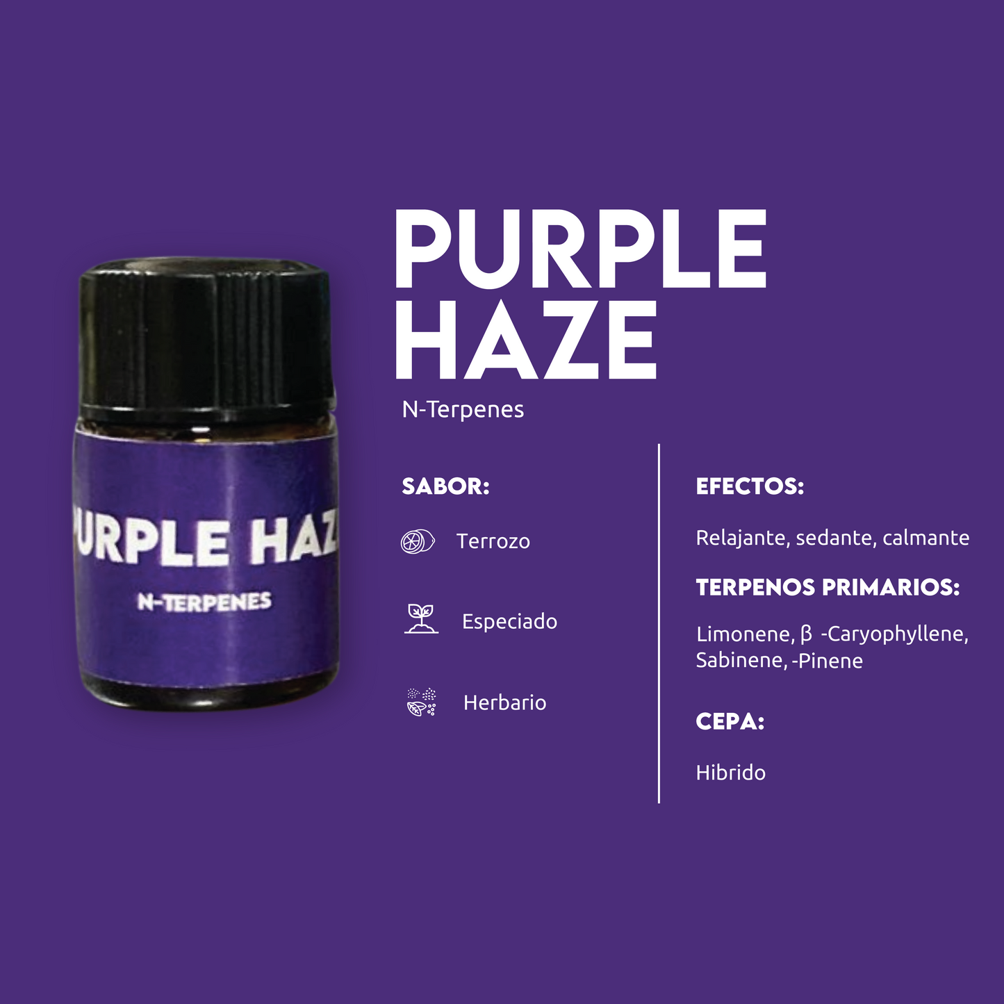 TERPENOS 1ML