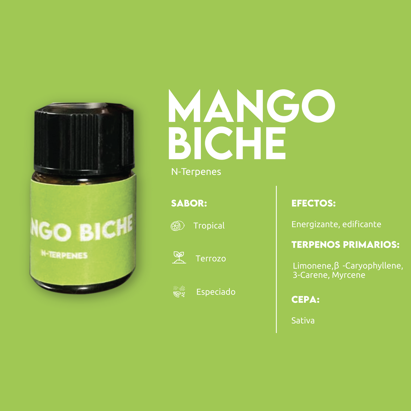 TERPENOS 1ML
