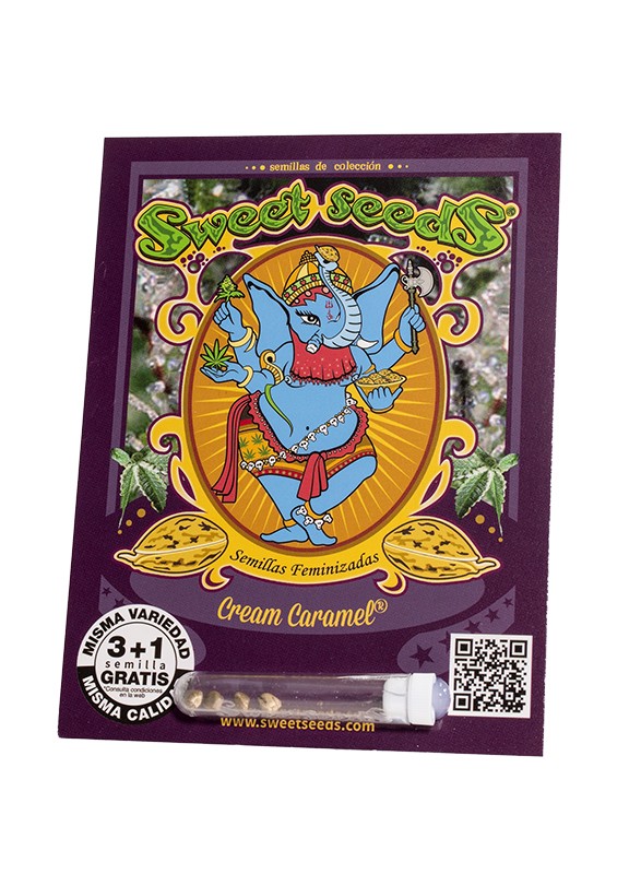 SWEET SEEDS FEM CREAM CARAMEL