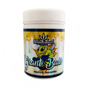 WONDERLAND GIANT BUDS 52-34