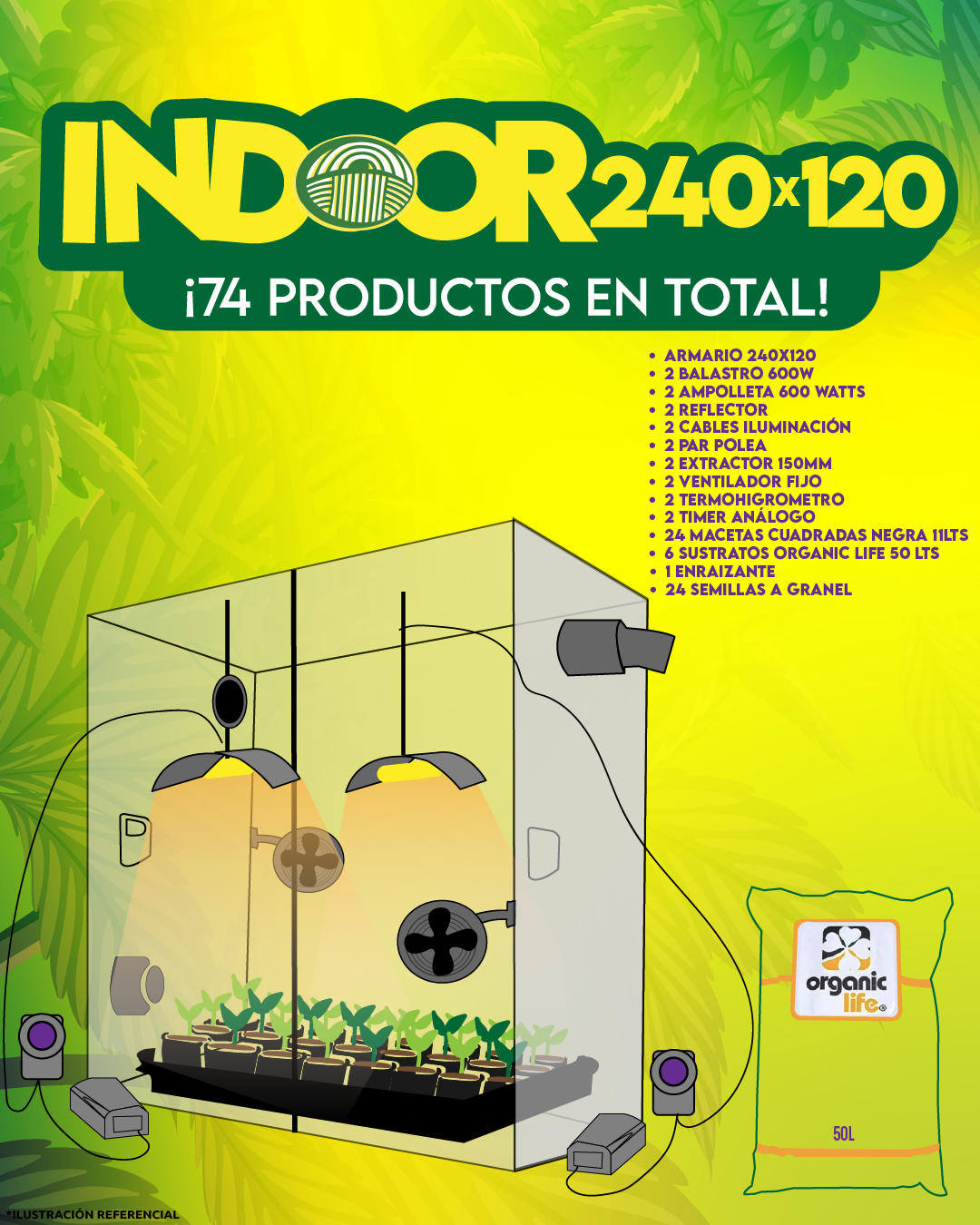 INDOOR 240X120 COMPLETO