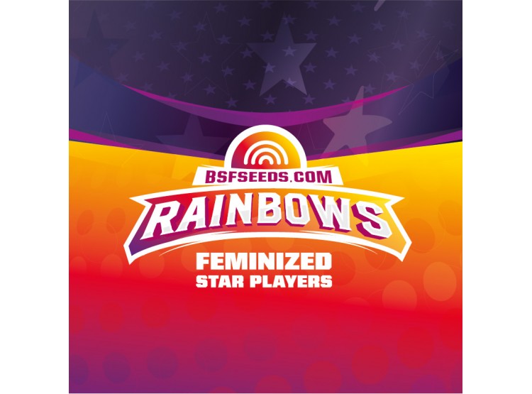 BSF SEEDS FERAINBOWM 4 UNID