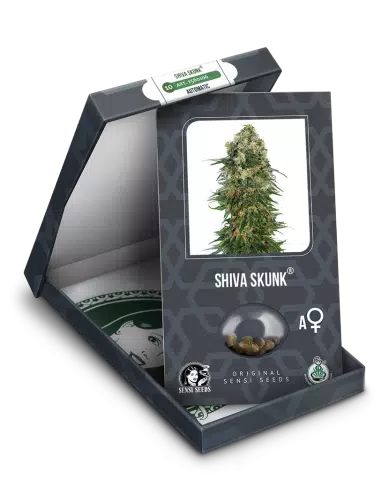 SENSI SEEDS SENSI SKUNK AUTO 3 UN