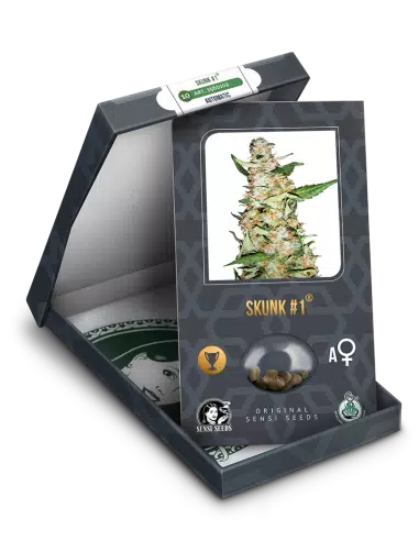 SENSI SEEDS SKUNK #1 AUTO 3UNI