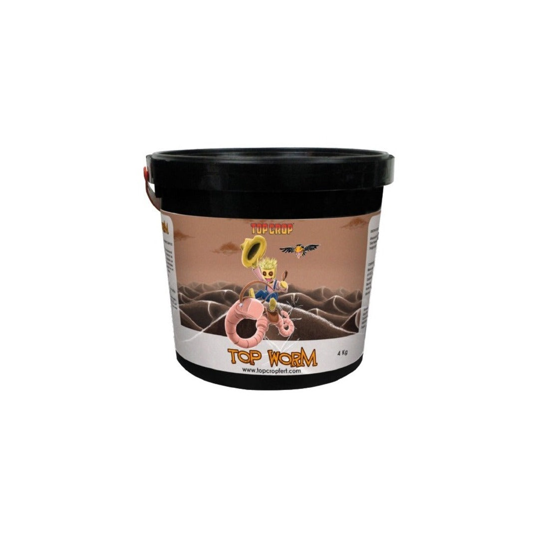 TOP CROP TOP WORM 4K