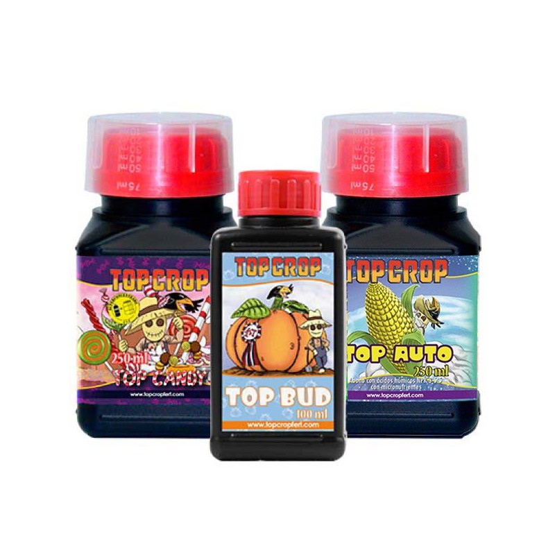 TOP CROP TRIPACK AUTO