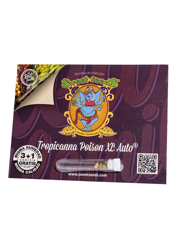 SWEET SEEDS AUTO TROPICANNA POISON