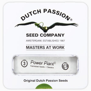 DUTCH PASSION FEM POWER PLANT