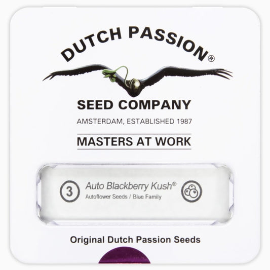 DUTCH PASSION AUTO BLACKBERRY KUSH