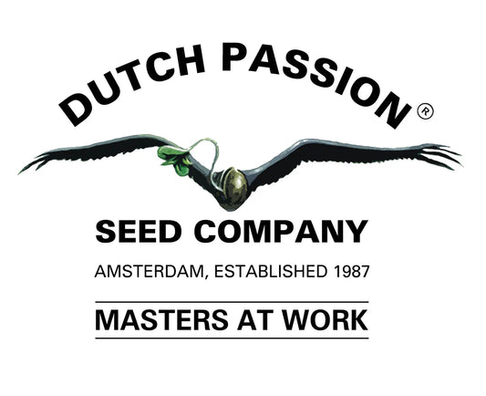DUTCH PASSION TROPICAL TANGIE FEM X3
