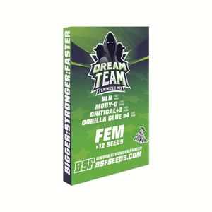 BSF Dream Team Feminized Mix X12