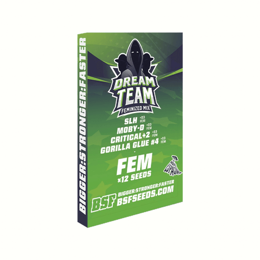 BSF Dream Team Feminized Mix X12