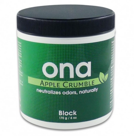 ONA AMBIENTADOR BLOCK