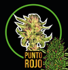 DELIRIUM SEEDS PUNTO ROJO AUTO X12