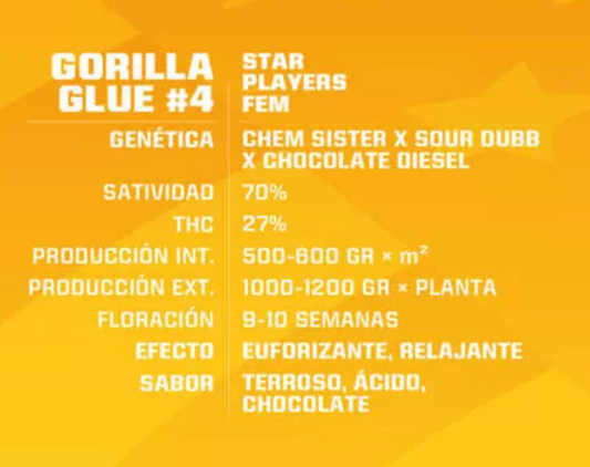 Gorilla #4 FEM- Pack 100 semillas - BSF